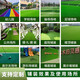 Fake turf simulated lawn green carpet outdoor artificial plastic artificial bionic outdoor insulation fence football field 2cm encrypted high-quality spring grass 4m wide 22m long