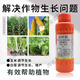 Guoguang Youlehong 8% ethylamine authentic growth regulator that increases root growth, promotes cell division, preserves flowers and fruits, 500ml