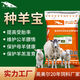 Yingmaier breeding ewe premix breeding sheep feed estrus pregnancy lactation breeding lamb skeleton feed lamb special premix