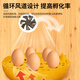 Padilin egg incubator automatic household small egg bird egg parrot rutin chicken pigeon constant temperature incubator
