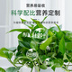Beike Shi Pai Yi Fa San nutrient solution plant universal flower fertilizer household potted plants hydroponic rich bamboo universal nutrient solution 3 bottles