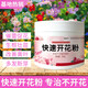 Genuine fast flowering powder phosphate fertilizer for flower cultivation, Bougainvillea camellia potted plant universal flowering promotion gardening household fast flowering powder 250g/1 bottle (free spoon)