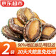 Fingertip fresh, freshly cooked and frozen large abalone, three-step treatment-free, fresh and frozen shellfish, eviscerated, New Year gift, 2 bags, freshly caught, cooked and frozen large abalone, 10 heads, net weight 500g*2