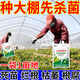 Sanqihu agricultural soil agent for soil-borne diseases, special rapid disinfection of soil anti-heavy root rot agent, soil 10 bags 5000g + disinfection