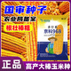 Zhuanghan National Approval Upgraded Corn Seed Big Stick High Yield Resistance to Lodging, Drought and Disease Resistance High Germination Rate Grain Pressing Scale Academy of Agricultural Sciences Baogu National Approval Damaya 3950 grains High Yield Grain Pressing Scale
