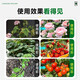 Instant high-efficiency compound fertilizer nitrogen, phosphorus and potassium general flower, fruit and vegetable compound fertilizer nitrogen, phosphorus and potassium fertilizer 10-100 Jin Jin equals 0.5 kg High-efficiency instant multi-element compound fertilizer 50 Jin Jin equals 0.5 kg
