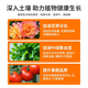 Urea nitrogen fertilizer for growing flowers, vegetables, fruit trees, green plants, household potted fields, general-purpose compound fertilizer, large package of chemical fertilizer, total nitrogen 46% 10Jin Jin equals 0.5 kg