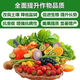 A hundred Jin Jin is equal to 0.5 kg, which is 99 urea nitrogen fertilizer, household vegetable, flower, fruit tree, corn agricultural general fertilizer, high urea 50 Jin Jin, equal to 0.5 kg, large particles