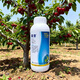 Taihui Li Cui Ya 50% Monocyanamide Ammonia Grape Peach Kiwi Fruit Tree Accelerating Bud Sleeping Agent Monocyanogen Ammonium Growth Regulator 250ml*8 bottles Production date September 25 Shelf life 2 years