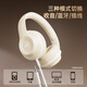 Yufan (YUFFUN) Level 4 and 6 listening earphones, English Level 4 earphones for college students examination, special FM head-mounted public third-level, fourth-level, eight-level, 46-level AB-level Great Britain Competition Bluetooth earphones, off-white charging model, time and power display, no Bluetooth, free 3.5mm audio cable with microphone