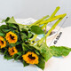 Sunflower Birthday Gift Fresh Cut Flowers Yunnan Base Direct Delivery Fresh Sunflower Flowers Graduation Bouquet 3 Sunflowers Medium Large Flower Medium Large Flower Sunflower