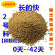 Sanqihu chick feed pellets medium large duck swan bird pigeon mountain wild chick grain peacock food premix egg meat No. 2 material crushed pellets 100Jin Jin is equal to 0.5kg, including logistics