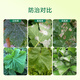 Wang Tianwang agricultural organic vegetable and flower cultivation fungal disease control functional fertilizer Hartz compound 500 million fungus granules 5 Jin Jin equal to 0.5 kg