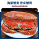 Guoxun Super Large Cooked Frozen Bread Crab Yellow Dao Crab Total Net Weight 1.6 Jin Jin equals 0.5 kg - 2.4 Jin Jin equals 0.5 kg 2 pack deep sea caught large crab full of yellow King crab imported from the UK