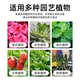 Urea Flower Fertilizer Nitrogen 46% Planting Flowers and Vegetables Potted Organic Fertilizer Nitrogen Fertilizer General Agricultural Landscaping Urea 5Jin Jin is equal to 0.5 kg Total Nitrogen 46%