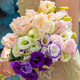 Lisianthus flowers Yunnan straight hair home water-raised bouquet classic matching flower arrangement Chinese Valentine's Day gift fresh cut flowers random color Lisianthus 20-25 buds