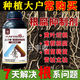 Yunfeng Harvest Root Rot Agent, Root Rot Nemesis, Yellow Leaves, Rotted Roots, Rotted Trees, Rooted Activated Soil, Factory Direct Sales, 1000g*12 Bottles, Exclusive Factory Price for Large Customers