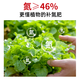 Urea Flower Fertilizer Nitrogen 46% Planting Flowers and Vegetables Potted Organic Fertilizer Nitrogen Fertilizer General Agricultural Landscaping Urea 5Jin Jin is equal to 0.5 kg Total Nitrogen 46%