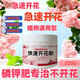 Genuine fast flowering powder phosphate fertilizer for flower cultivation, Bougainvillea camellia potted plant universal flowering promotion gardening household fast flowering powder 250g/1 bottle (free spoon)
