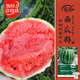 Shouhe watermelon seeds melon seeds early maturing extra large unicorn super sweet thin skin rock sugar 8424 watermelon seeds 120 capsules