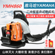 Wuyangyilang engine snow blower high-power gasoline hair dryer backpack wind fire extinguisher fallen leaf cleaning greenhouse imported engine pure gasoline YMH0926