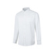 Fabriqué à Jingdong [coton pur oxford] chemise de chemise à manches longues pour hommes à manches longues pour offrir des cadeaux de petit ami blanc 41