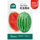 Northern Vegetable Watermelon Seed Seedlings Early Mature Thin-Skinned Small Fruit Suitable for Potted Melon Seeds in the North and South Ruby Watermelon Seeds 50 Tablets