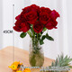 Roses Special Price Yunnan Flowers Direct Delivery Festival Flower Gift Bouquet Water-raised Flower Arrangement Chinese Valentine's Day Gift 10 Plateau Red Roses