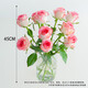 Roses Yunnan flowers wholesale real flowers household flowers vase water to grow holiday gifts rose flowers Aisha rose 18+2 stems loss prevention