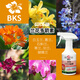 Beikeshi Orchid Multi-Frenith Orchid Special Nutrient Solution to Promote Flowering and Delay Flowering Period to Treat Yellow Leaves Special Liquid Fertilizer Orchid Multi-Frenith 3 Bottles