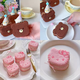 Yusenyi Internet celebrity cartoon birthday cake press mold kitten bear fondant biscuit baking plastic cutting tool bear mold bear mold 1g