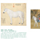 Palace Museum Culture Palace Calendar 2026 (stamped version) 41 Year of the Horse themed commemorative stamps Year of the Horse Calendar 2026 calendar Palace Museum cultural and creative gifts business gifts stamped version calendar (41 stamps)