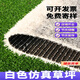White artificial lawn carpet, ski resort landscaping decoration, outdoor football field paving, artificial plastic fake turf, 2.5 cm white, high-end special density, export quality, 2 meters wide*2 meters long