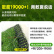 Simulated turf, artificial turf carpet, outdoor floor matting, football field artificial turf, plastic fake turf fence, Su Chao same style green backing adhesive, 2 cm thick, 20-pin sample, 0.3cm*0.3cm