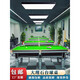 Xingpai (XING PAI) Qiao leg steel warehouse billiard table Chinese black eight standard commercial marble cricket room adult American silver billiard table with round legs gold + ball collector green