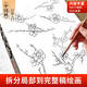 Introduction to Chinese Painting Line Drawing Copying Chinese Painting and Traditional Chinese Style Fine Brushwork Line Drawing Line Drawing Copying Album Line Drawing Line Drawing Basic Book Beginner's Ink Painting Album Complete 4 volumes Introduction to Chinese Painting Line Drawing