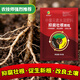 Jinhe Fengwo three-in-one anti-corrosion and root-strengthening granules, anti-root rot, root-promoting, seedling-strengthening and soil-improvement fertilizer, 3 bags-affordable pack