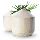 Thai perfumed coconut green, fresh coconut water, fresh fruit, now imported with original packaging - fresh fruit, Thai coconut green 1.5-2Jin Jin equal to 0.5kg / 2 pieces