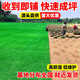 Turf soil real lawn with soil four-season green Manila turf villa courtyard greening grass Taiwan grass 0.5 square meters Bermuda buy 5 square meters and get 0.5 square meters