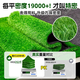 Simulated turf, artificial turf carpet, outdoor floor matting, football field artificial turf, plastic fake turf fence, Su Chao same style green backing adhesive, 2 cm thick, 20-pin sample, 0.3cm*0.3cm