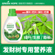 Lupan special nutrient solution fertilizer for money trees to prevent and control yellowing leaves, falling leaves and root rot, hydroponic indoor living room soil plants