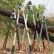 Garden pruning scissors, branch pruning, gardening special fruit tree pruning thick branch shears, powerful shears, heavy-duty reinforced telescopic shears 70mm + blade