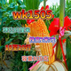 Wk1505 test weight short stem 805 drought resistance, high yield resistance, lodging resistance, large corn seeds WK1505 5500 grains