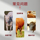 Male herding cattle and sheep appetizer fattening treasure cattle and sheep fattening fattening meat to strengthen the stomach and promote absorption veterinary appetizer king feed additive