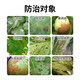 6% kasugamycin fungicide leaf spot, angle spot, rice blast, gummosis, citrus vegetable soft rot bacterial disease 1000g*1 bottle