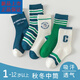 Disney Boys' Socks Pure Cotton Spring and Autumn Girls' Korean Cartoon Children's Mid-Tube Socks Boys Boys' Boneless Cotton Socks Autumn and Winter 10 Pairs Green CC Pack Pure 100 Cotton Type A 1-4 Years Old Recommended Shoe Size 18-26