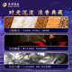 Sheshe Year of the Horse Zodiac Commemorative Wine Luzhou-flavor Liquor 54% 518ml Single Bottle Gift Box New Year's Gift