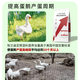FISH 4 CATS 4% egg and goose premix, compound premixed feed during the laying period, high yield, extended egg period and improved egg quality. 1 bag of 4% egg and goose premix, 1000Jin Jin is equal to 0.5kg