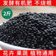 Mu Chun'ao urea fertilizer nitrogen, phosphorus and potassium fertilizer granular flower vegetable fruit lawn compound fertilizer base fertilizer flower and vegetable fertilizer nitrogen fertilizer organic fertilizer 2Jin Jin is equal to 0.5 kg