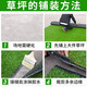 Renowned Jiuzhou simulated lawn bedding, artificial plastic, fake turf, artificial carpet, balcony outdoor fence, kindergarten decoration, green, 2 meters wide * 15 meters long, grass height 1.5cm